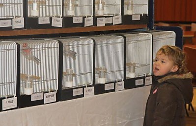 U bent elke 3e zondag van de maand welkom bij Sivo in Heuvelzicht Breda