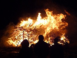 Kerstboomverbrandingen in Princenhage en de aanpalende wijken Tuinzigt, Westerpark en Prinsenbeek.