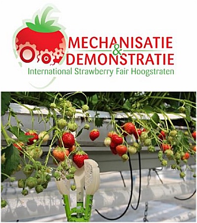 Op 24 september is daar in Hoogstraten de beurs Mechanisatie & Demonstratie, in het internationaals noemen ze het de 'International Strawberry Fair' en dat zegt genoeg. Een bijzondere vernieuwing die daar te zien is: de aardbeien-plukmachine, een prima aanvulling bij de hoogteelt van de zomerkoninkjes. Het geautomatiseerd oogsten van aardbeien is complex: het bewegen door de kassen, de rijpe aardbeien selecteren, plukken zonder ze te beschadigen en dan in de eindverpakking sorteren. “Een oogstrobot moet hiertoe echter in staat zijn om een waarde voor de praktijk te kunnen hebben”, klinkt het in een persbericht. “De firma Octinion zal, in première, zijn aardbeienplukrobot presenteren. CEO Tom Coen ziet deze machine als een doorbraak in het oogsten van aardbeien. De ware innovatie bestaat erin dat de aardbei langs onderen benaderd wordt en dat de volledige handeling van het plukken uitgevoerd wordt door één machine. Dit in tegenstelling tot andere oogstsystemen, waar nog steeds een menselijke actie aan te pas komt.”